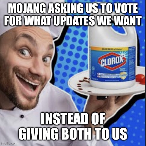 You have the backing of Microsoft and Xbox you can do both | MOJANG ASKING US TO VOTE
FOR WHAT UPDATES WE WANT; INSTEAD OF GIVING BOTH TO US | image tagged in chef serving clorox | made w/ Imgflip meme maker