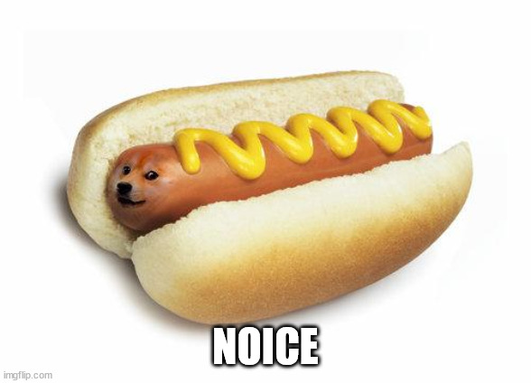 doge hot doge | NOICE | image tagged in doge hot doge | made w/ Imgflip meme maker