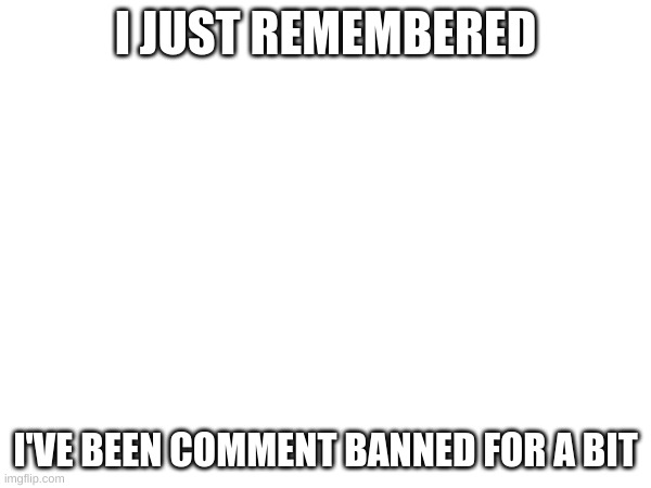 I JUST REMEMBERED; I'VE BEEN COMMENT BANNED FOR A BIT | made w/ Imgflip meme maker