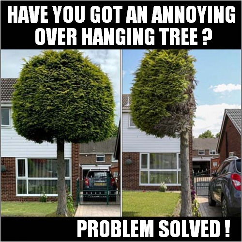 Tradition British Pettiness On Display | HAVE YOU GOT AN ANNOYING 
OVER HANGING TREE ? PROBLEM SOLVED ! | image tagged in neighbours,tree,cutting,front page | made w/ Imgflip meme maker