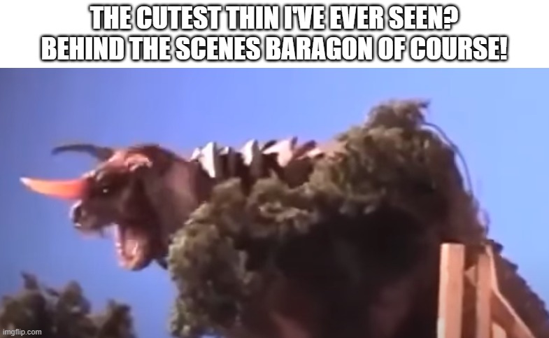 THE CUTEST THIN I'VE EVER SEEN? BEHIND THE SCENES BARAGON OF COURSE! | made w/ Imgflip meme maker
