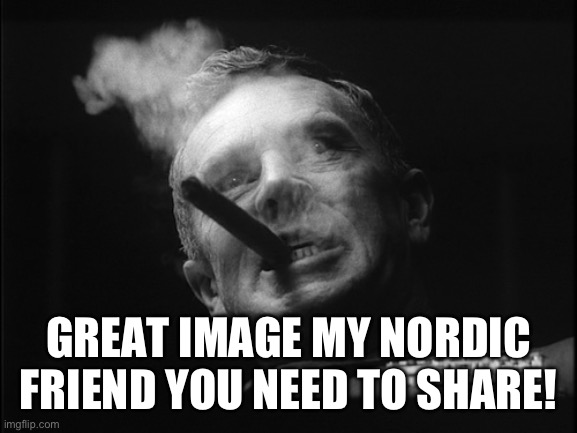 General Ripper (Dr. Strangelove) | GREAT IMAGE MY NORDIC FRIEND YOU NEED TO SHARE! | image tagged in general ripper dr strangelove | made w/ Imgflip meme maker