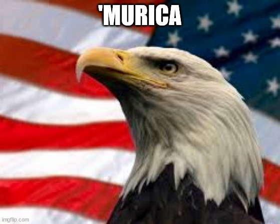 Murica Patriotic Eagle | 'MURICA | image tagged in murica patriotic eagle | made w/ Imgflip meme maker