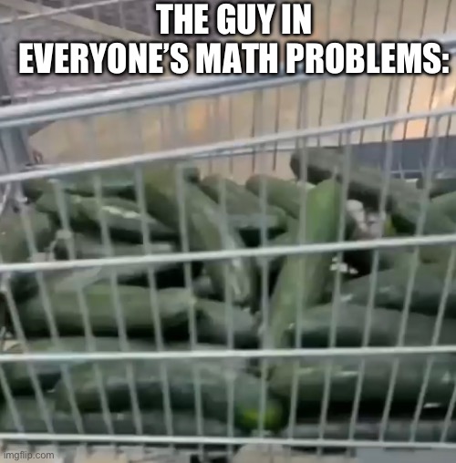 Facts | THE GUY IN EVERYONE’S MATH PROBLEMS: | image tagged in math | made w/ Imgflip meme maker