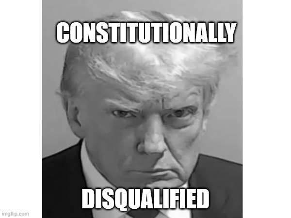 CONSTITUTIONALLY; DISQUALIFIED | made w/ Imgflip meme maker