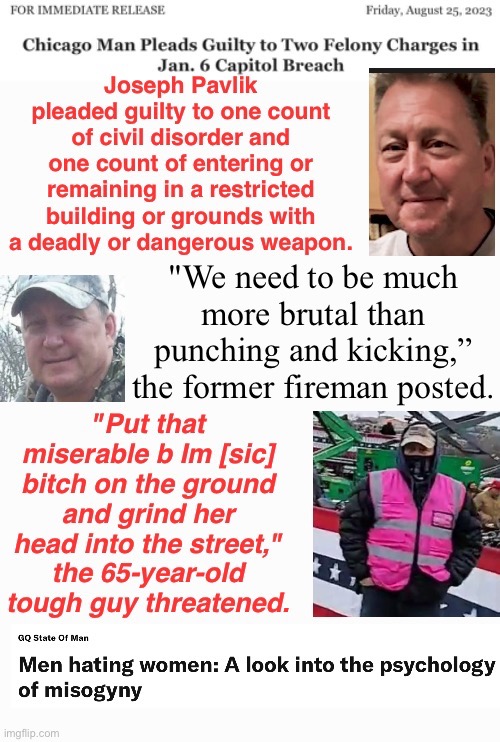 Petty In Pink | image tagged in domestic terrorists,liar liar pants on fire,treason,traitor | made w/ Imgflip meme maker