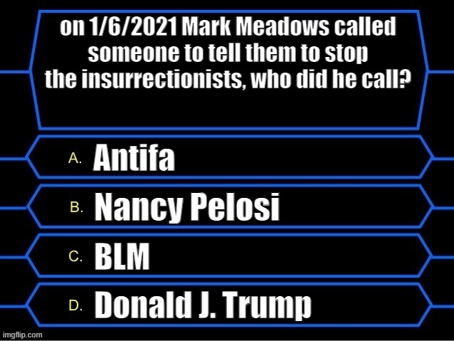 Who Wants to Be a Millionaire question fixed textboxes | on 1/6/2021 Mark Meadows called someone to tell them to stop the insurrectionists, who did he call? Antifa; Nancy Pelosi; BLM; Donald J. Trump | image tagged in who wants to be a millionaire question fixed textboxes | made w/ Imgflip meme maker