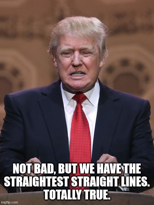 Donald Trump | NOT BAD, BUT WE HAVE THE
STRAIGHTEST STRAIGHT LINES.
TOTALLY TRUE. | image tagged in donald trump | made w/ Imgflip meme maker