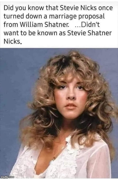 Stevie`s Nicks ! | image tagged in proposal | made w/ Imgflip meme maker