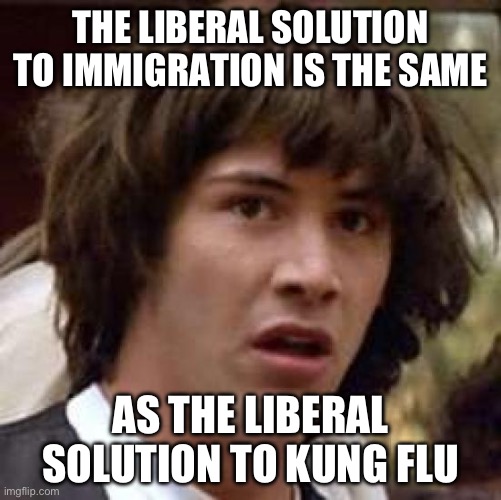 This one’s a thinker. | THE LIBERAL SOLUTION TO IMMIGRATION IS THE SAME; AS THE LIBERAL SOLUTION TO KUNG FLU | image tagged in conspiracy keanu,politics,covid 19,stupid liberals,illegal immigration,masks | made w/ Imgflip meme maker