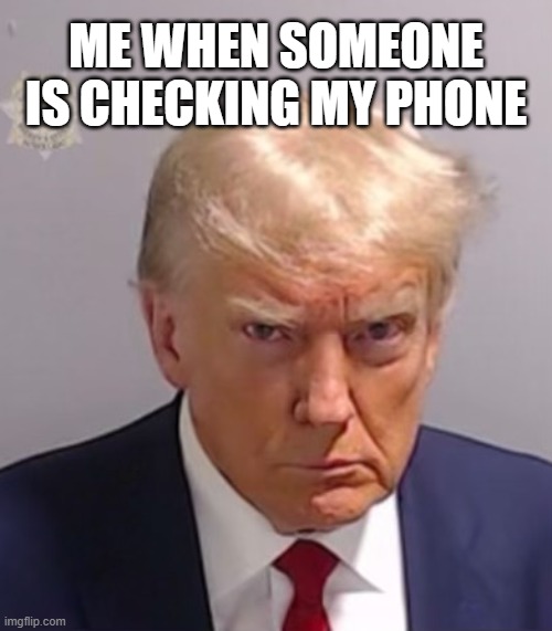 ? | ME WHEN SOMEONE IS CHECKING MY PHONE | image tagged in donald trump mugshot | made w/ Imgflip meme maker