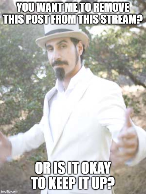 Serj Tankian | YOU WANT ME TO REMOVE THIS POST FROM THIS STREAM? OR IS IT OKAY TO KEEP IT UP? | image tagged in serj tankian | made w/ Imgflip meme maker