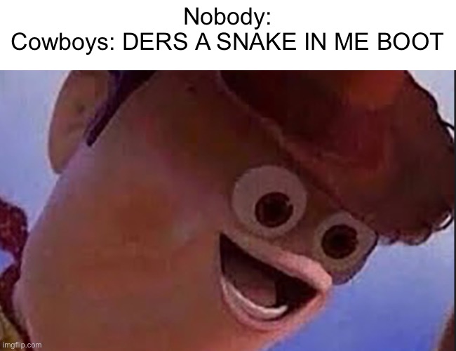 DeRs A sNakE iN mE bOoT!!!1 | Nobody:
Cowboys: DERS A SNAKE IN ME BOOT | image tagged in wow,memes,cowboy | made w/ Imgflip meme maker