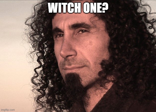 Serj thinking | WITCH ONE? | image tagged in serj thinking | made w/ Imgflip meme maker