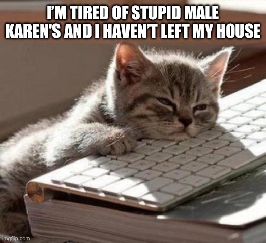 My adopted brother | I’M TIRED OF STUPID MALE KAREN'S AND I HAVEN’T LEFT MY HOUSE | image tagged in tired cat | made w/ Imgflip meme maker