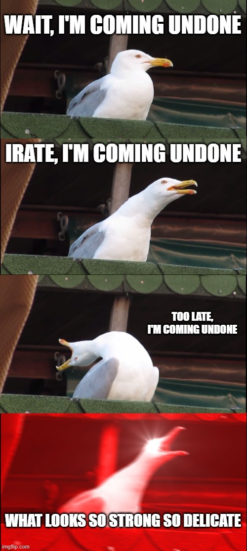 KoRn - Coming Undone | WAIT, I'M COMING UNDONE; IRATE, I'M COMING UNDONE; TOO LATE, I'M COMING UNDONE; WHAT LOOKS SO STRONG SO DELICATE | image tagged in memes,inhaling seagull,korn,metal | made w/ Imgflip meme maker