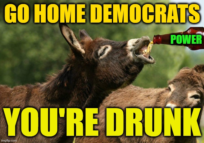 Drunk donkey | GO HOME DEMOCRATS YOU'RE DRUNK POWER | image tagged in drunk donkey | made w/ Imgflip meme maker