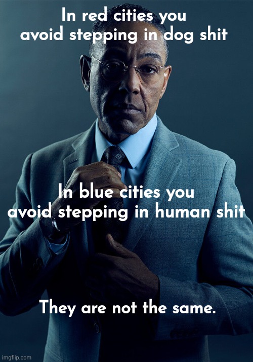 Not the same. | In red cities you avoid stepping in dog shit; In blue cities you avoid stepping in human shit; They are not the same. | image tagged in memes | made w/ Imgflip meme maker