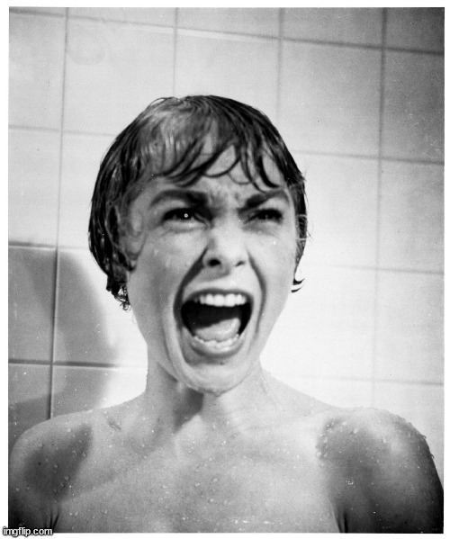Psycho Shower | image tagged in psycho shower | made w/ Imgflip meme maker