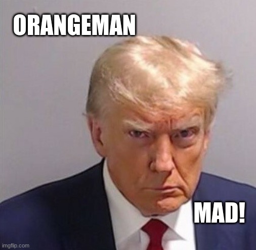 Political circus | ORANGEMAN; MAD! | image tagged in serious trump | made w/ Imgflip meme maker