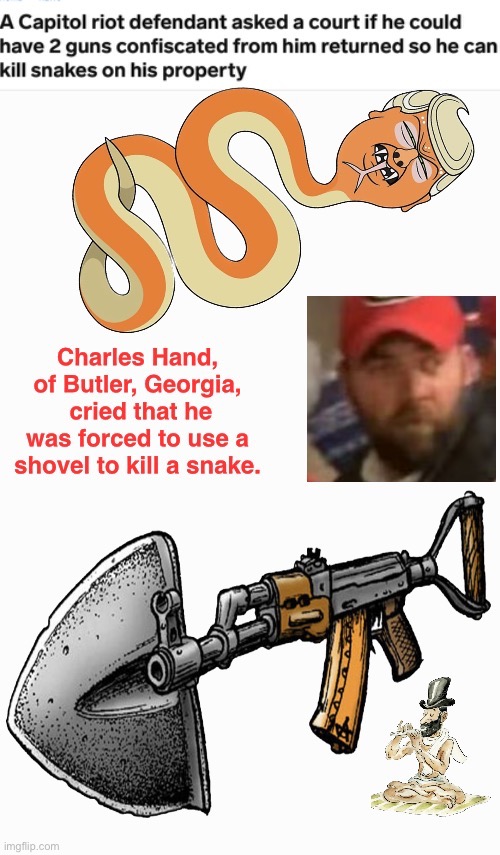 Treason, Traitors, and Snakes Oh My | image tagged in snowflake,domestic terrorists,safety in numbers,loser | made w/ Imgflip meme maker