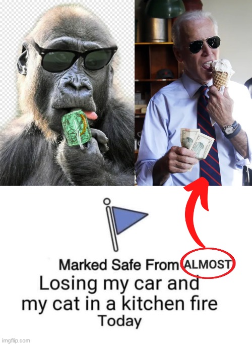 Nothing BUT malarkey with the monkey on the right... | image tagged in politics,joe biden,monkey,malarkey,all about him,political humor | made w/ Imgflip meme maker