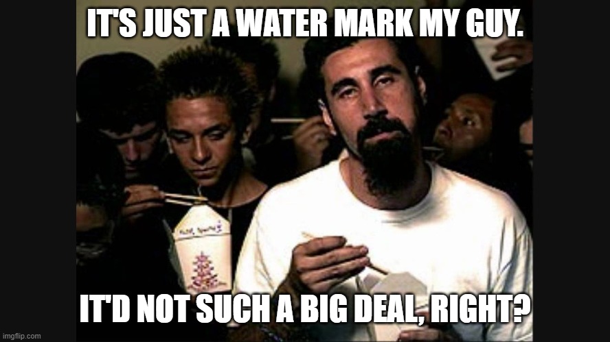 Serj Tankian | IT'S JUST A WATER MARK MY GUY. IT'D NOT SUCH A BIG DEAL, RIGHT? | image tagged in serj tankian | made w/ Imgflip meme maker
