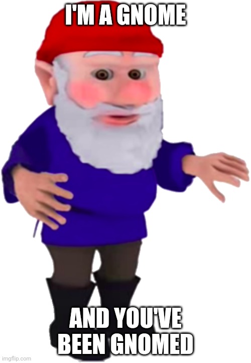 Gnome | I'M A GNOME; AND YOU'VE BEEN GNOMED | image tagged in gnome | made w/ Imgflip meme maker