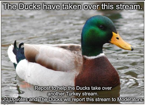 Actual Advice Mallard | The Ducks have taken over this stream. Repost to help the Ducks take over another Turkey stream.
20 Upvotes and The Ducks will report this stream to Moderators. | image tagged in memes,actual advice mallard | made w/ Imgflip meme maker