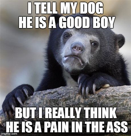 Confession Bear Meme | I TELL MY DOG HE IS A GOOD BOY BUT I REALLY THINK HE IS A PAIN IN THE ASS | image tagged in memes,confession bear,AdviceAnimals | made w/ Imgflip meme maker