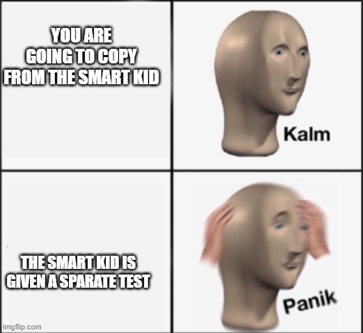 Who can relate? | YOU ARE GOING TO COPY FROM THE SMART KID; THE SMART KID IS GIVEN A SPARATE TEST | image tagged in kalm panik | made w/ Imgflip meme maker