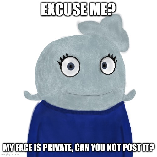 Not funny, never laughed, you’re an L if you posted it | EXCUSE ME? MY FACE IS PRIVATE, CAN YOU NOT POST IT? | image tagged in blueworld twitter | made w/ Imgflip meme maker