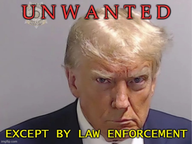 Trump unwanted | U N W A N T E D; EXCEPT BY LAW ENFORCEMENT | image tagged in trump,mugshot,unwanted | made w/ Imgflip meme maker