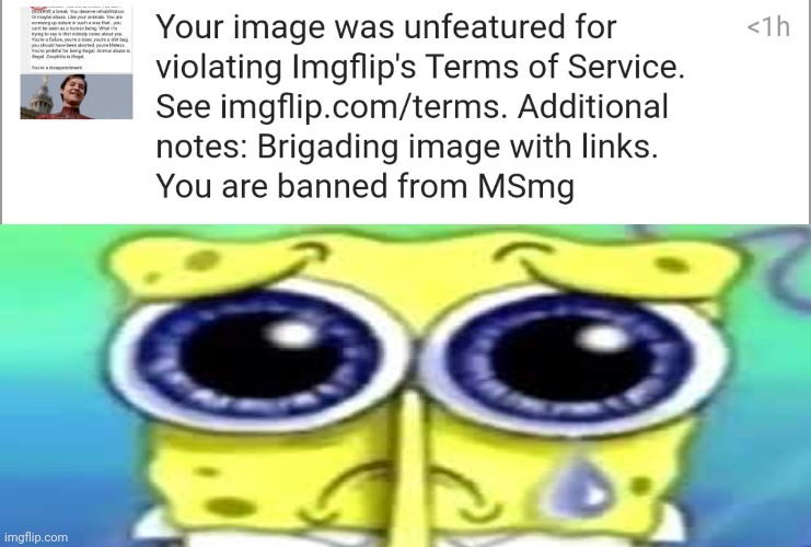 Damn. | image tagged in sad spong | made w/ Imgflip meme maker