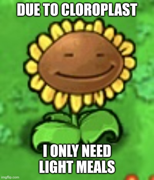 High sunflower | DUE TO CLOROPLAST; I ONLY NEED LIGHT MEALS | image tagged in high sunflower | made w/ Imgflip meme maker