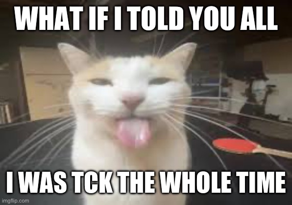 Cat | WHAT IF I TOLD YOU ALL; I WAS TCK THE WHOLE TIME | image tagged in cat | made w/ Imgflip meme maker