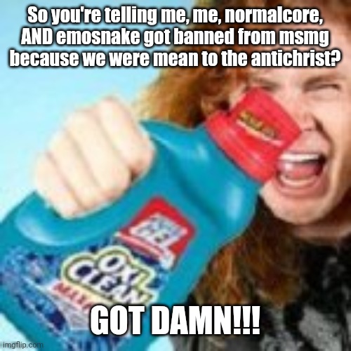 shitpost | So you're telling me, me, normalcore, AND emosnake got banned from msmg because we were mean to the antichrist? GOT DAMN!!! | image tagged in shitpost | made w/ Imgflip meme maker