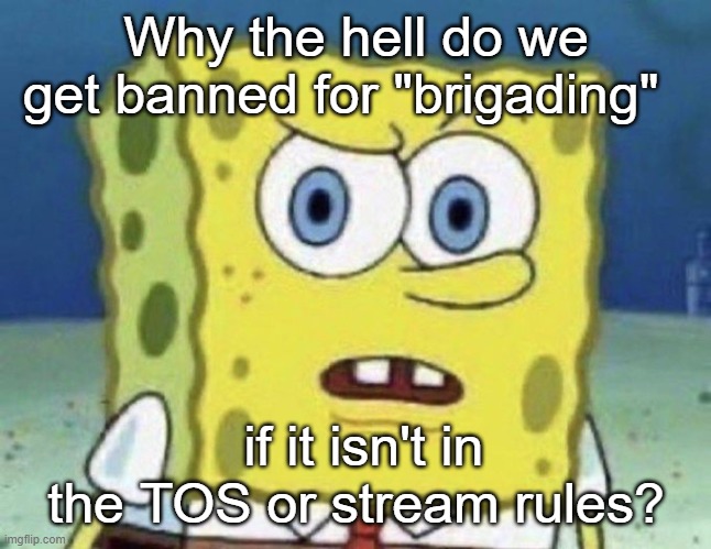 confused spongebob | Why the hell do we get banned for "brigading"; if it isn't in the TOS or stream rules? | image tagged in confused spongebob | made w/ Imgflip meme maker