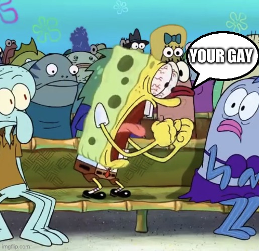 Spongebob Yelling | YOUR GAY | image tagged in spongebob yelling | made w/ Imgflip meme maker