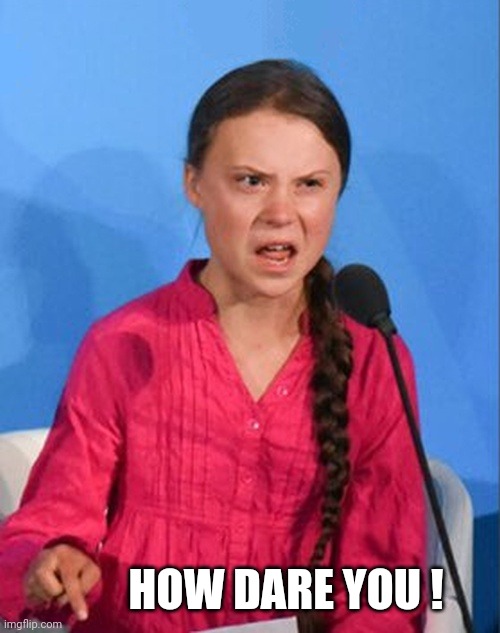 Greta Thunberg how dare you | HOW DARE YOU ! | image tagged in greta thunberg how dare you | made w/ Imgflip meme maker