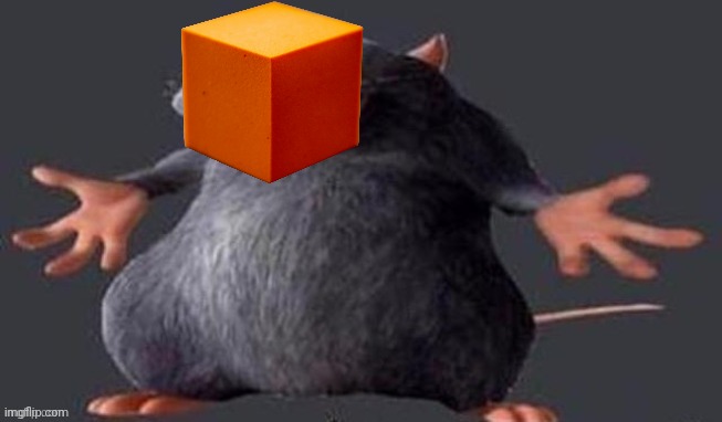 Shrugging Rat | image tagged in shrugging rat | made w/ Imgflip meme maker