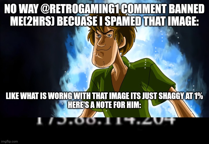 note | NO WAY @RETROGAMING1 COMMENT BANNED ME(2HRS) BECUASE I SPAMED THAT IMAGE:; LIKE WHAT IS WORNG WITH THAT IMAGE ITS JUST SHAGGY AT 1%
HERE'S A NOTE FOR HIM: | image tagged in shitpost,note | made w/ Imgflip meme maker