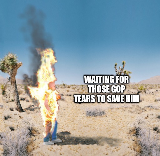 Dry Heat | WAITING FOR THOSE GOP TEARS TO SAVE HIM | image tagged in dry heat | made w/ Imgflip meme maker