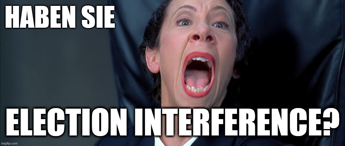 Frau Farbissina | HABEN SIE; ELECTION INTERFERENCE? | image tagged in frau farbissina | made w/ Imgflip meme maker