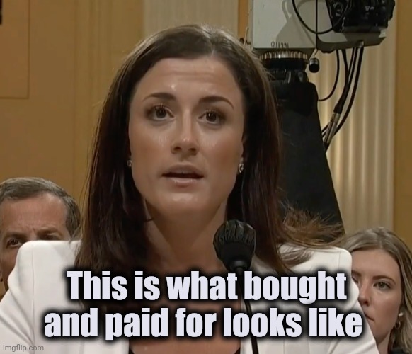 Cassidy Hutchinson | This is what bought and paid for looks like | image tagged in cassidy hutchinson | made w/ Imgflip meme maker