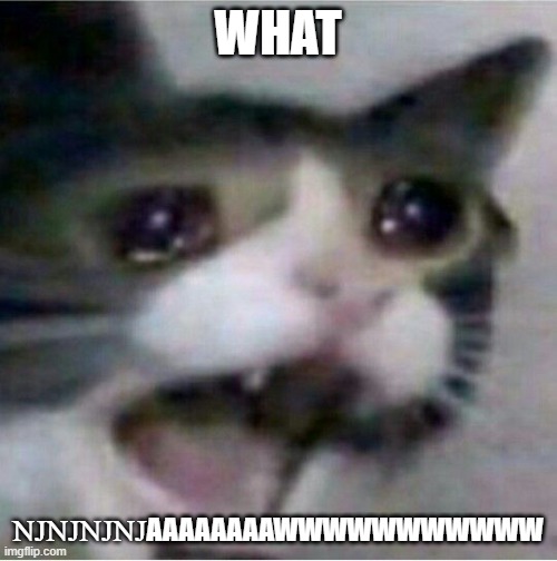 crying cat | WHAT ǊǊǊǊAAAAAAAAWWWWWWWWWWW | image tagged in crying cat | made w/ Imgflip meme maker