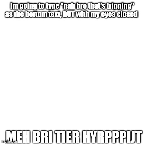 That makes sense | Im going to type "nah bro that's tripping" as the bottom text, BUT with my eyes closed; MEH BRI TIER HYRPPPIJT | made w/ Imgflip meme maker