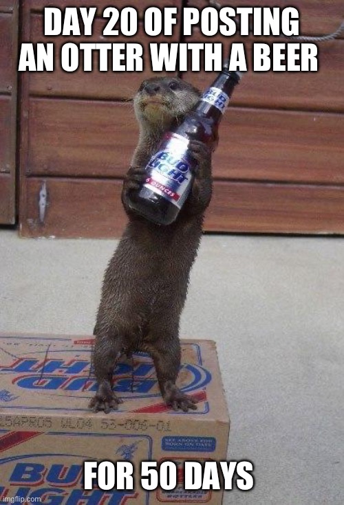 Day twenty of posting an otter with a beer for fifty days | DAY 20 OF POSTING AN OTTER WITH A BEER; FOR 50 DAYS | image tagged in beer otter,otters,funny,funny memes,animals,memes | made w/ Imgflip meme maker
