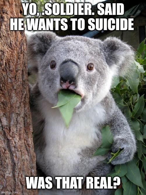 Idk what's going on | YO, .SOLDIER. SAID HE WANTS TO SUICIDE; WAS THAT REAL? | image tagged in memes,surprised koala | made w/ Imgflip meme maker