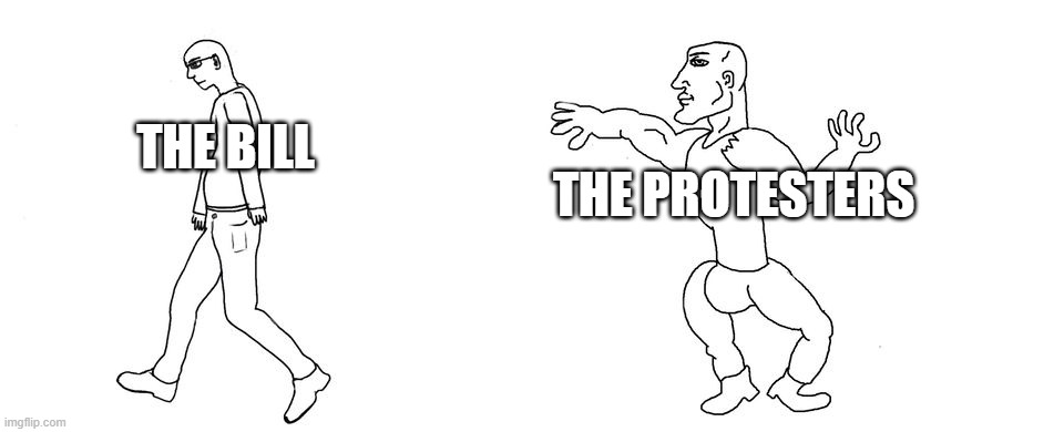 Virgin vs Chad | THE BILL THE PROTESTERS | image tagged in virgin vs chad | made w/ Imgflip meme maker